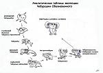     
: cheburashka.jpg
: 244
:	55.9 
ID:	337447