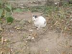     
: Договор стр 2 009.jpg
: 29
:	197.5 
ID:	3377779