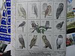     
: DSC01982.jpg
: 18
:	174.3 
ID:	3381430