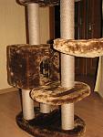     
: IMG_3605.jpg
: 101
:	101.5 
ID:	3383031