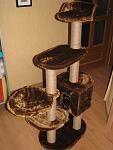    
: IMG_3608.jpg
: 79
:	84.2 
ID:	3383038