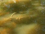     
: SNC02305.jpg
: 26
:	27.3 
ID:	3384158