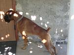     
: IMG_6210.jpg
: 56
:	98.7 
ID:	3384265
