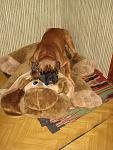     
: IMG_0121.jpg
: 64
:	119.9 
ID:	3384279