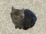     
: 0_423ab_6cfc9ce1_L.jpg
: 22
:	117.7 
ID:	3386010
