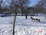     
: DSC02915.jpg
: 27
:	263.6 
ID:	3386586