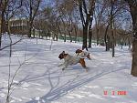     
: DSC02875.jpg
: 26
:	207.2 
ID:	3386587