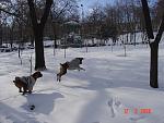     
: DSC02863.jpg
: 60
:	171.0 
ID:	3386588