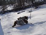     
: DSC02951.jpg
: 21
:	154.8 
ID:	3386589