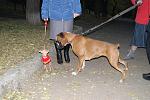     
: DSC03857.jpg
: 61
:	149.4 
ID:	3386746