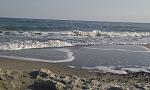    
: IMAG0020.jpg
: 29
:	107.2 
ID:	3387751