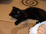     
: DSC03126.jpg
: 36
:	93.6 
ID:	3389845