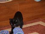     
: DSC03120.jpg
: 40
:	119.0 
ID:	3389846