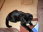     
: DSC03117.jpg
: 33
:	139.3 
ID:	3389851