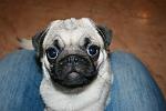     
: IMG_0216.JPG
: 29
:	291.9 
ID:	3396822