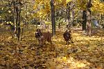     
: DSC03709.jpg
: 26
:	245.9 
ID:	3398188