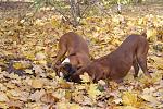     
: DSC03715.jpg
: 21
:	208.6 
ID:	3398189