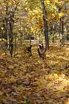     
: DSC03700.jpg
: 25
:	154.4 
ID:	3398192