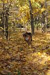     
: DSC03701.jpg
: 17
:	154.4 
ID:	3398193
