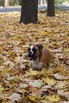     
: DSC03673.jpg
: 19
:	117.9 
ID:	3398194