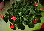     
: IMG_1902.jpg
: 27
:	138.1 
ID:	3400013
