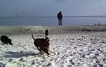     
: летим.jpg
: 13
:	145.6 
ID:	3402897