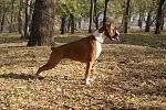     
: DSC04105.jpg
: 37
:	296.3 
ID:	3407644