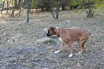     
: DSC03929.jpg
: 22
:	251.2 
ID:	3407652