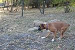     
: DSC03936.jpg
: 68
:	250.9 
ID:	3407659
