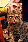     
: DSC_0064_.jpg
: 14
:	139.0 
ID:	3407680