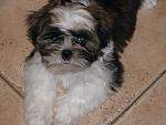    
: IMG_8503.jpg
: 30
:	128.6 
ID:	3410207