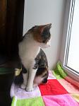    
: SAM_0992.jpg
: 29
:	71.5 
ID:	3411787