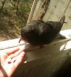     
: IMAGE_196mini.jpg
: 33
:	71.7 
ID:	341505