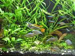    
: IMG_9379.jpg
: 96
:	190.6 
ID:	3415148