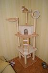     
: DSC08256.jpg
: 78
:	52.8 
ID:	3417368