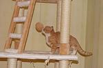     
: DSC08310.jpg
: 53
:	85.3 
ID:	3417370