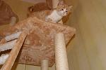     
: DSC08155.jpg
: 46
:	88.1 
ID:	3417371