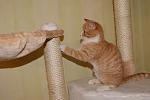     
: DSC08149.jpg
: 47
:	81.1 
ID:	3417372