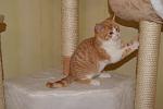     
: DSC08152.jpg
: 52
:	83.9 
ID:	3417373