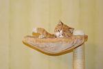     
: DSC08243.jpg
: 62
:	70.4 
ID:	3417380