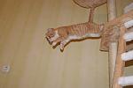     
: DSC08157.jpg
: 59
:	58.9 
ID:	3417383
