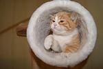    
: DSC08274.jpg
: 73
:	70.5 
ID:	3417384