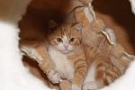     
: DSC08295.jpg
: 77
:	82.0 
ID:	3417385