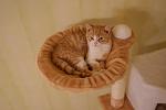     
: DSC08207.jpg
: 64
:	58.2 
ID:	3417400