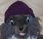     
: DSC_0816.jpg
: 17
:	265.4 
ID:	3417680