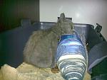     
: 17112011776.jpg
: 46
:	153.2 
ID:	3420683