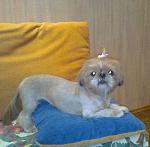     
: x_6964ef5e.jpg
: 28
:	90.1 
ID:	3433202