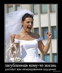     
: x_b93543d7.jpg
: 29
:	66.5 
ID:	3433456
