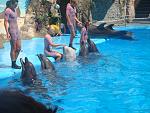     
: DSC03275.jpg
: 44
:	176.7 
ID:	3437905