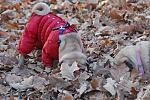     
: DSC_0550.JPG
: 35
:	152.0 
ID:	3439695